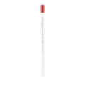 Lip-Liner-delineador-profesional-anyeluz-1