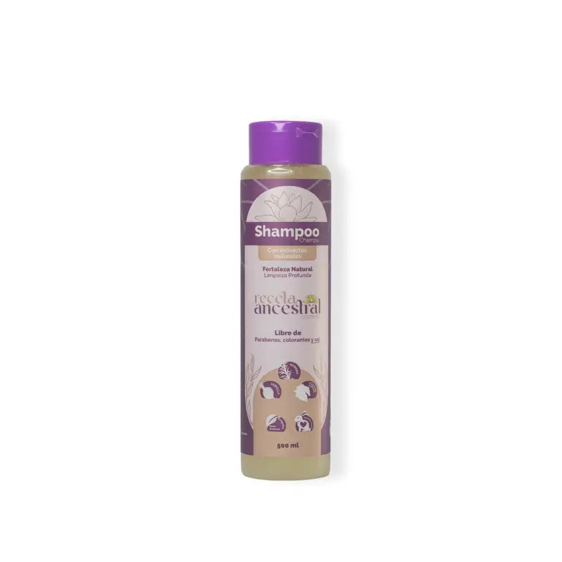 SHAMPOO-500ML.webp