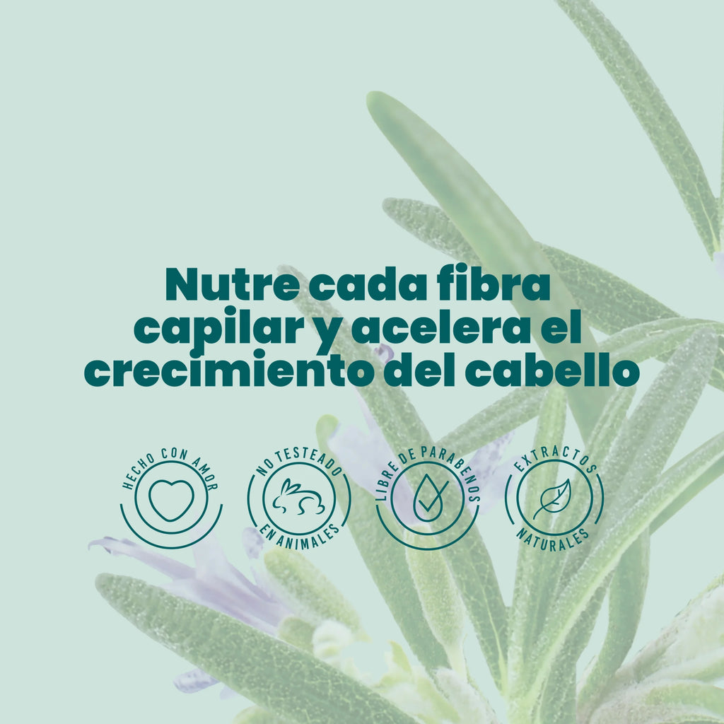 acondcionador-romero-anyeluz-4-scaled-1.webp