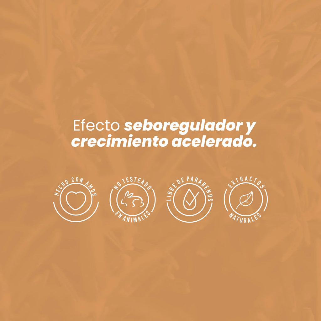 potencializador-romero-anyeluz-5-scaled-1.webp