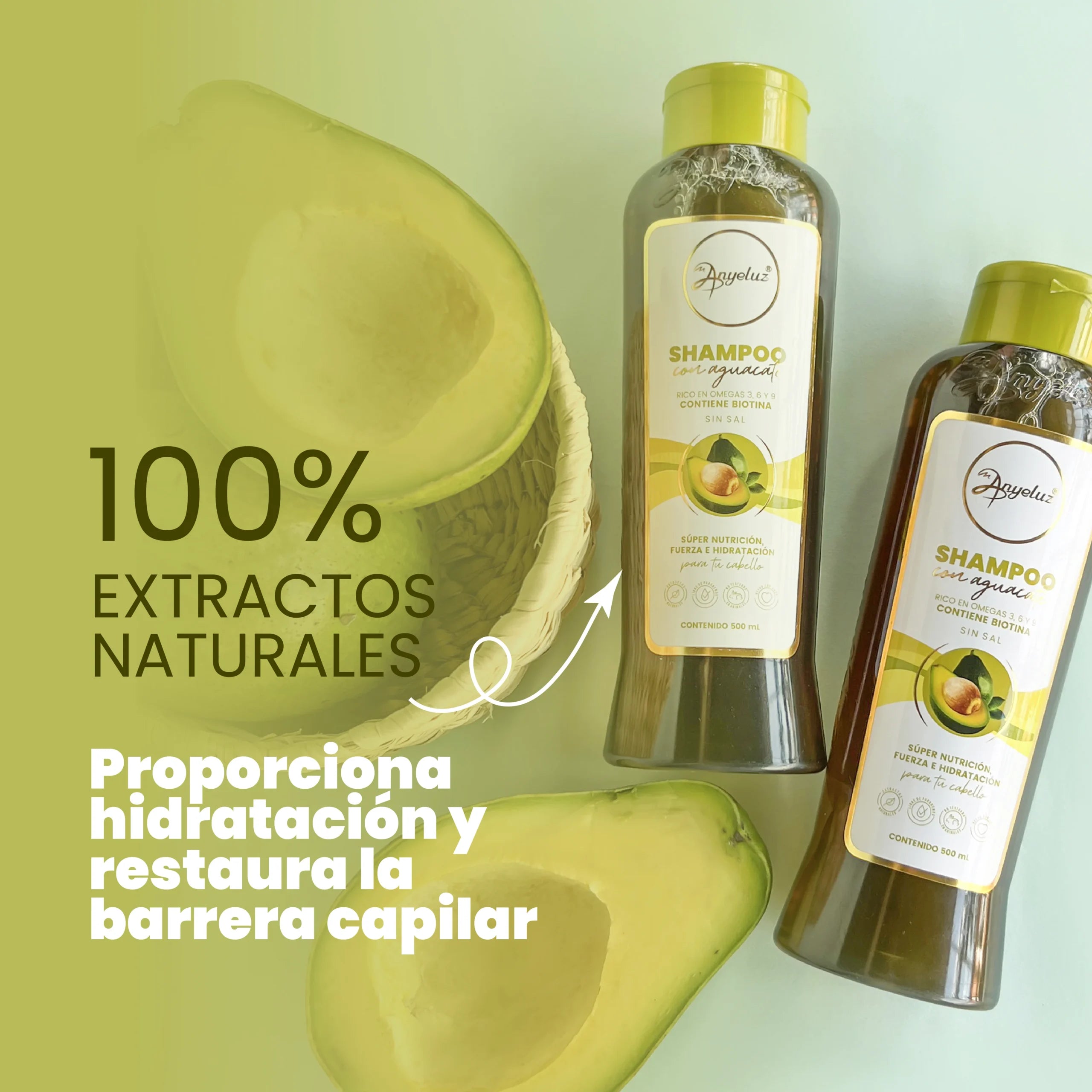 shampoo-aguacate-anyeluz-3-scaled-1.webp
