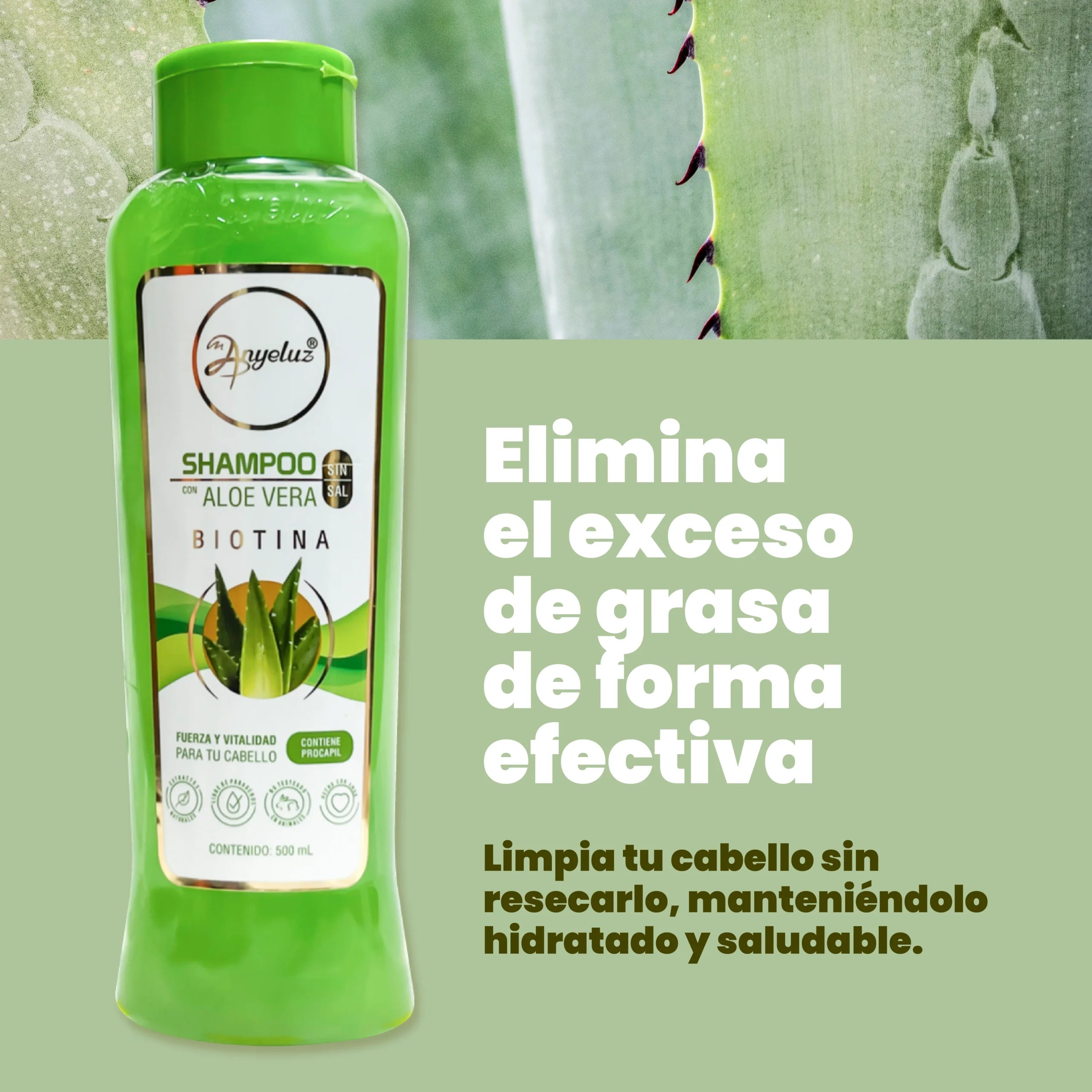 shampoo-aloe-vera-anyeluz-3-scaled-1.webp