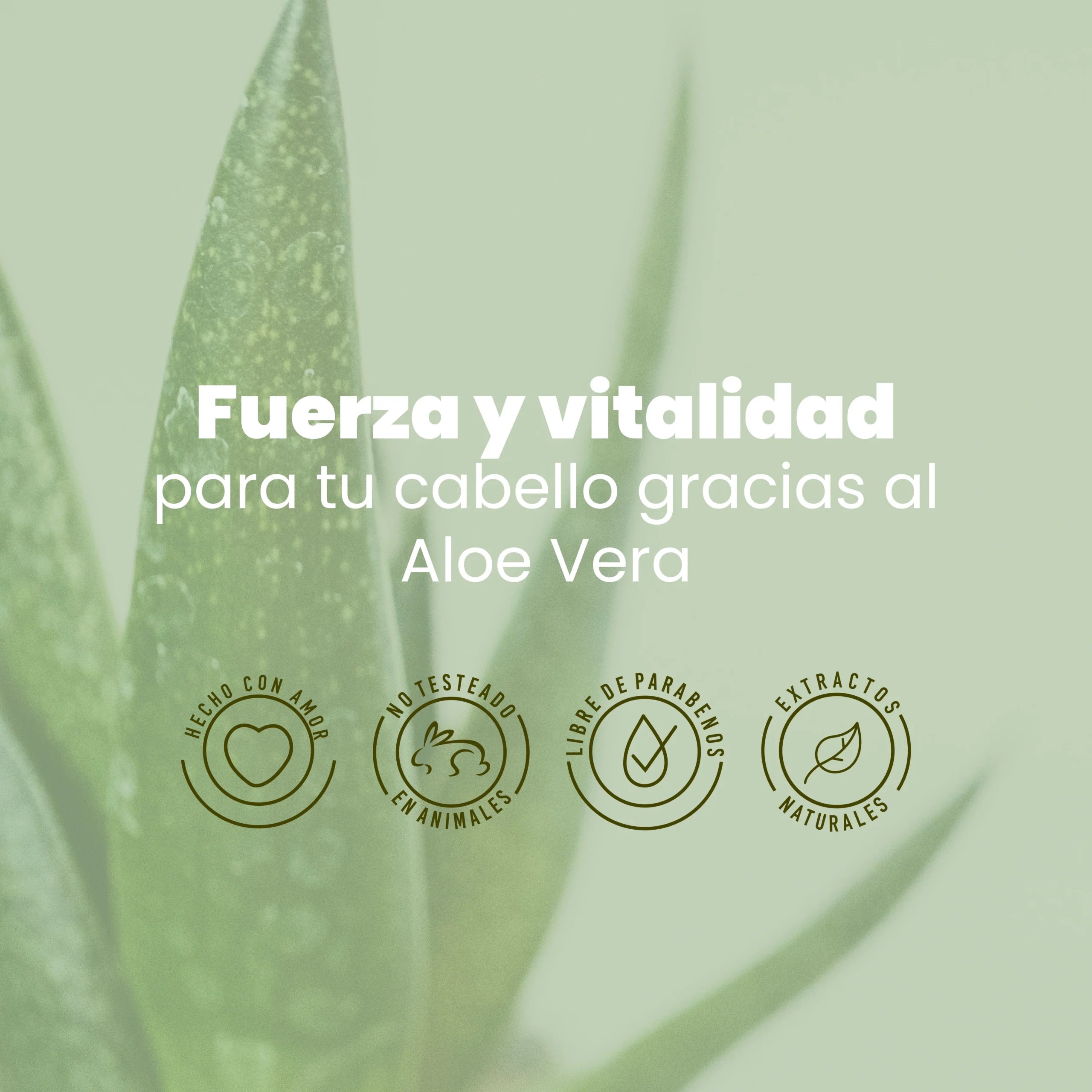 shampoo-aloe-vera-anyeluz-5-scaled-1.webp