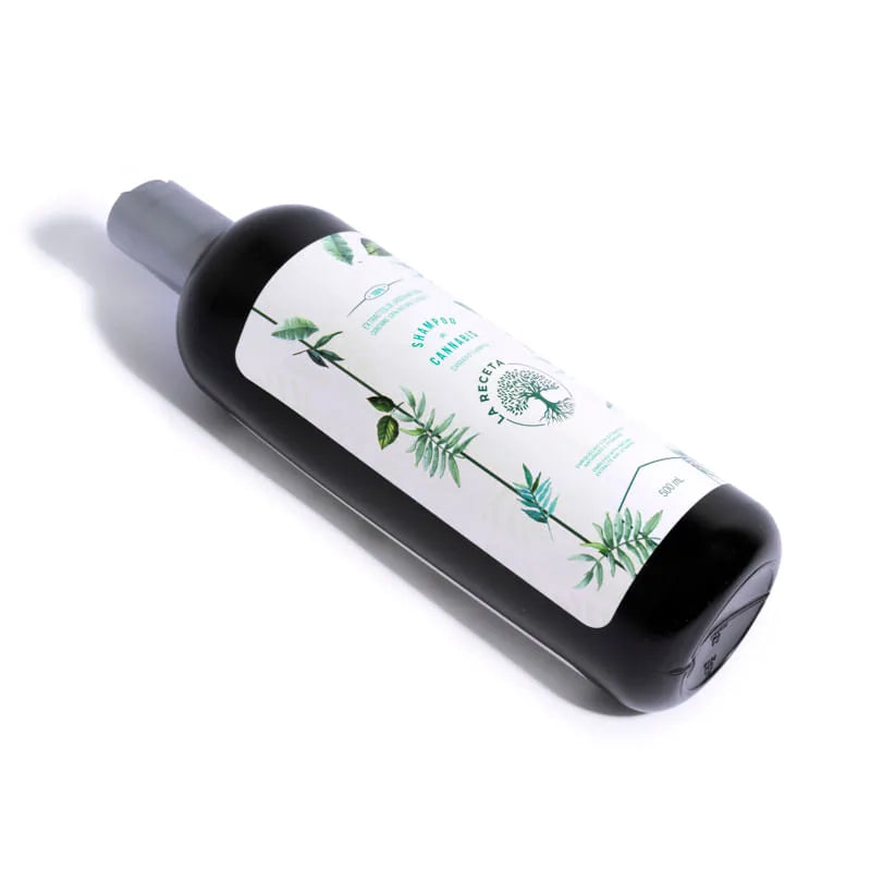 shampoo-argan-cabello-seco-la-receta-kaba-2.webp
