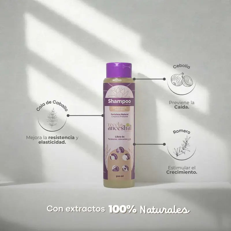 shampoo-cebolla-romero-coladecaballo-receta-ancestral-2.webp