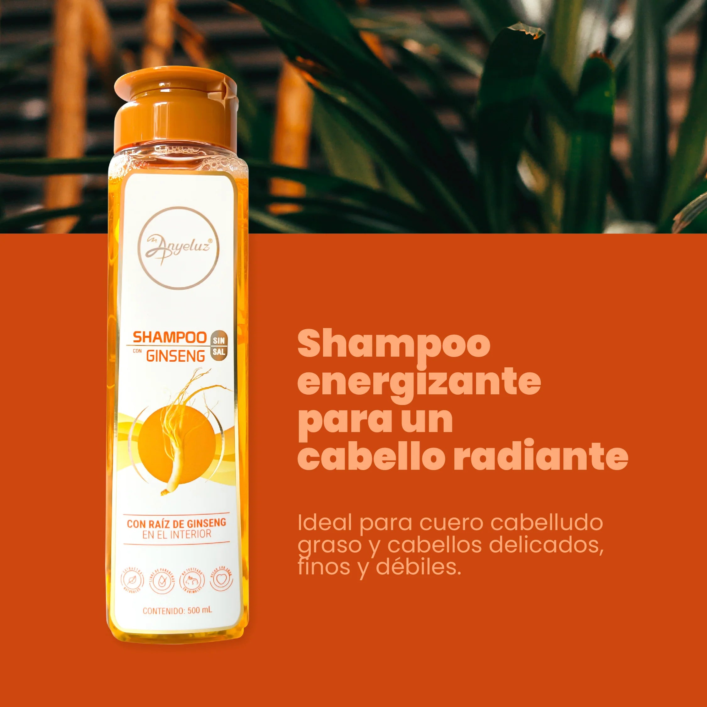 shampoo-ginseng-anyeluz-3.webp