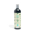 shampoo-romero-cabello-graso-la-receta-kaba-1.webp