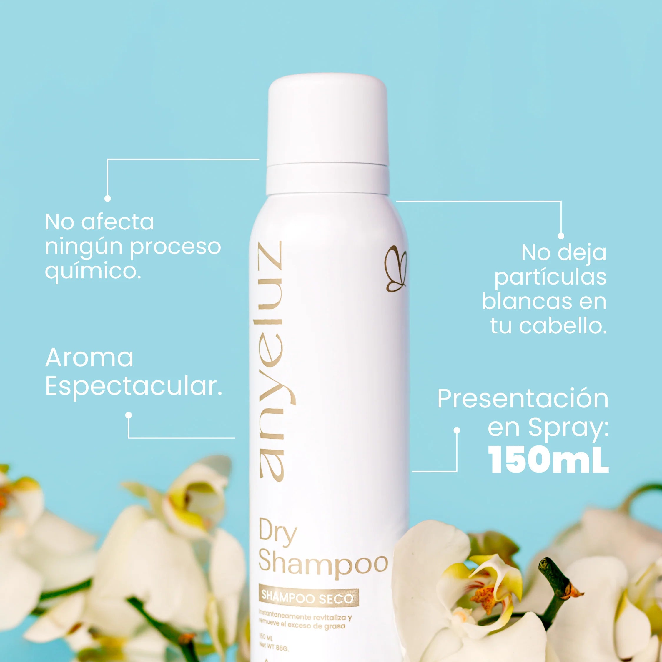 shampoo-seco-anyeluz-2.webp